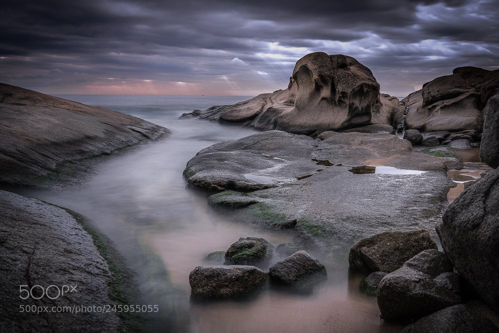 Sony a7R III sample photo. Roques planes  cove photography