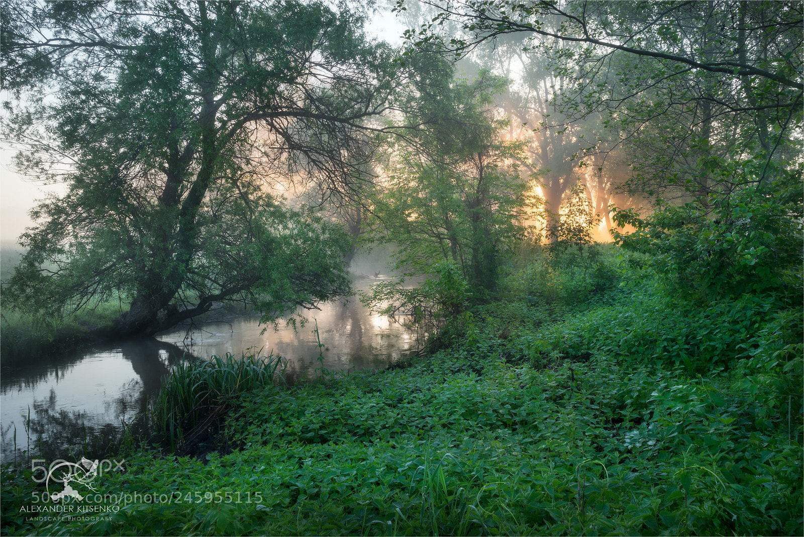 Sony a7R sample photo. On the river bank photography