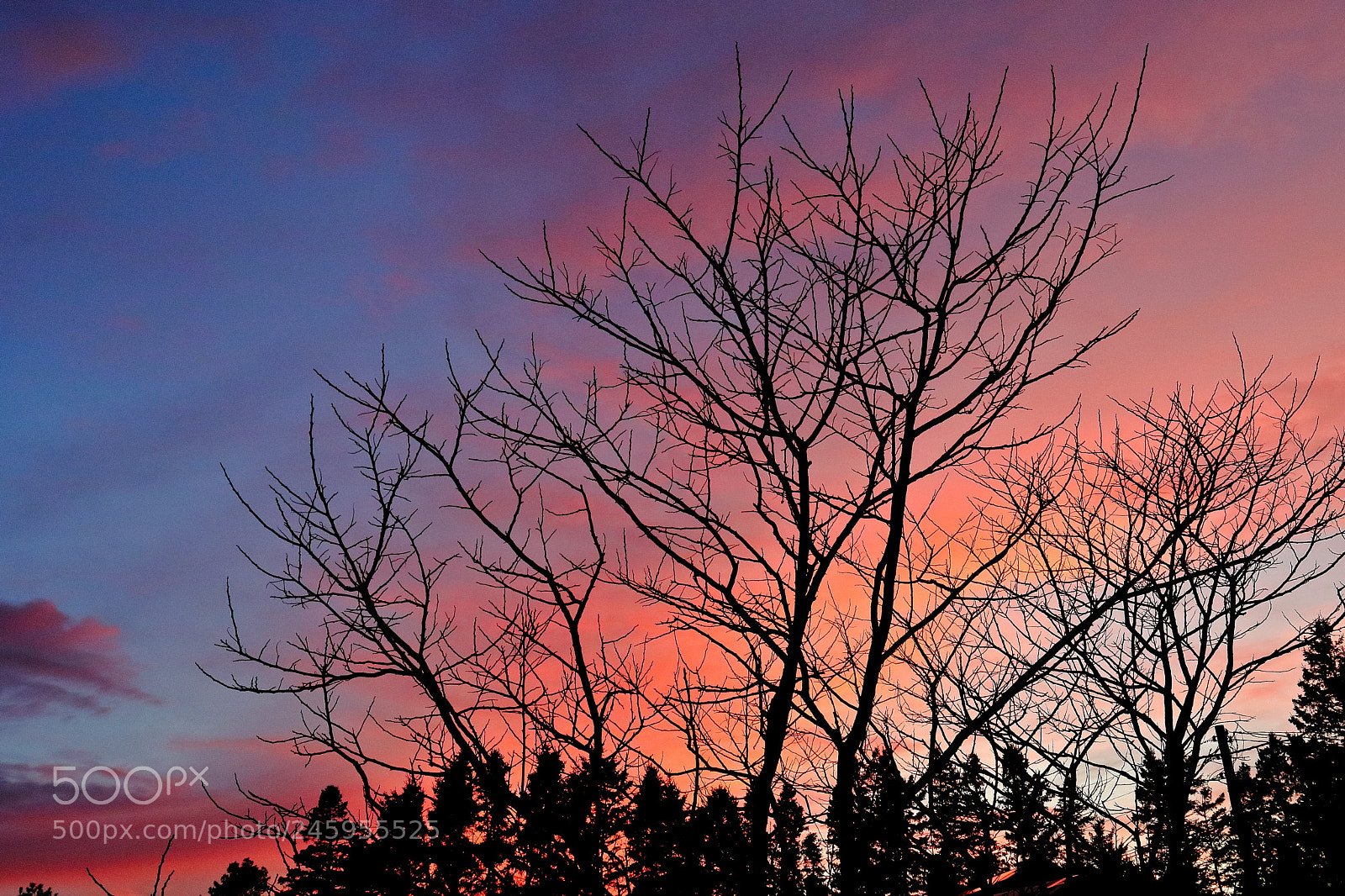 Canon EOS 7D Mark II sample photo. Sunset silhouette photography