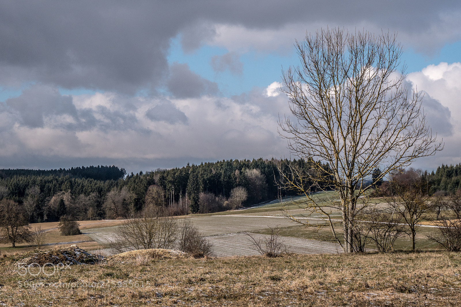 Panasonic DMC-G70 sample photo. Landscape in winter photography