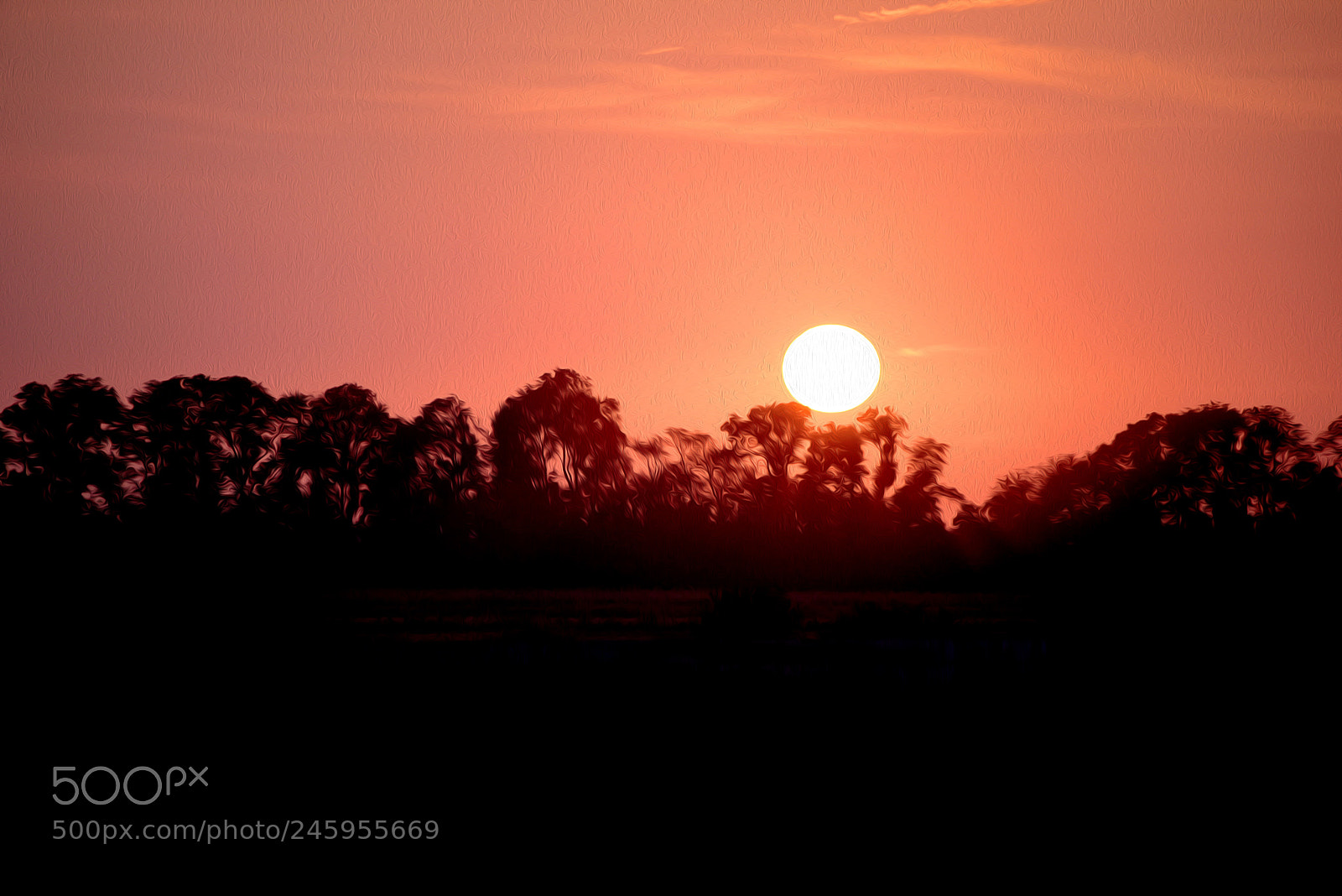 Nikon D810 sample photo. Sunset photography