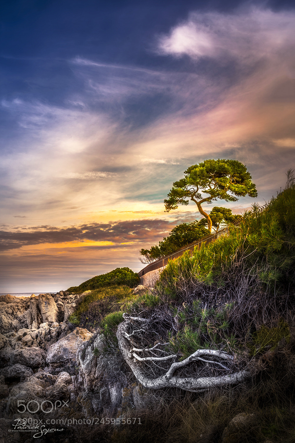 Nikon D810 sample photo. Cycle de vie photography