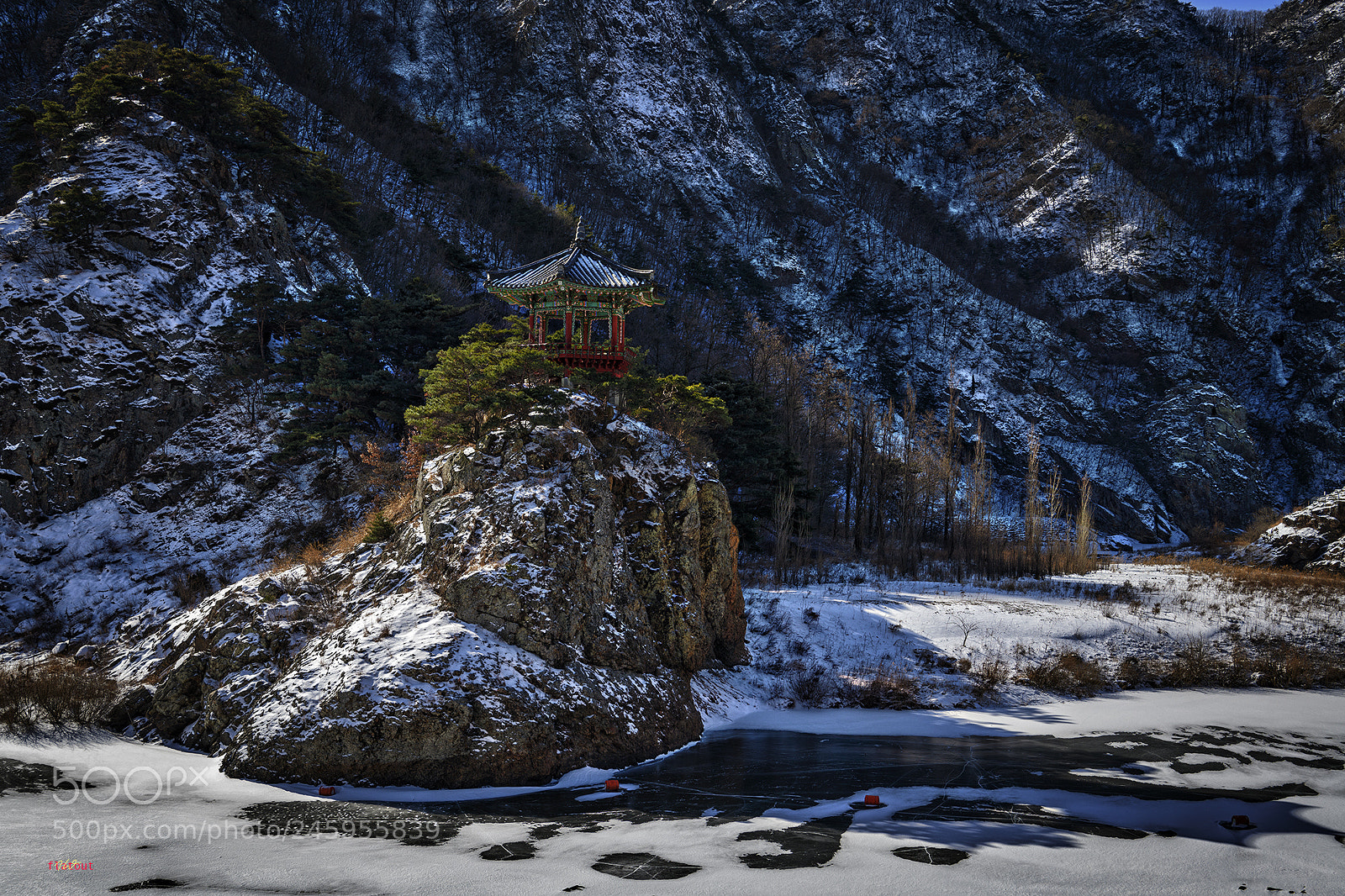 Nikon D850 sample photo. 월류봉의 겨울 photography
