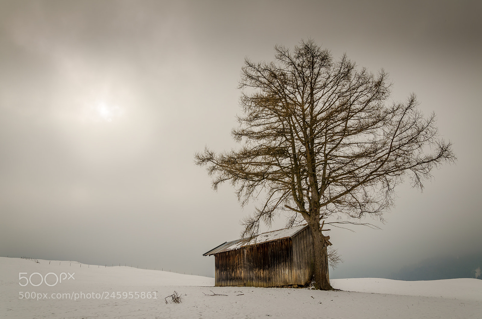 Nikon D5100 sample photo. Cabin near fischen, allg photography