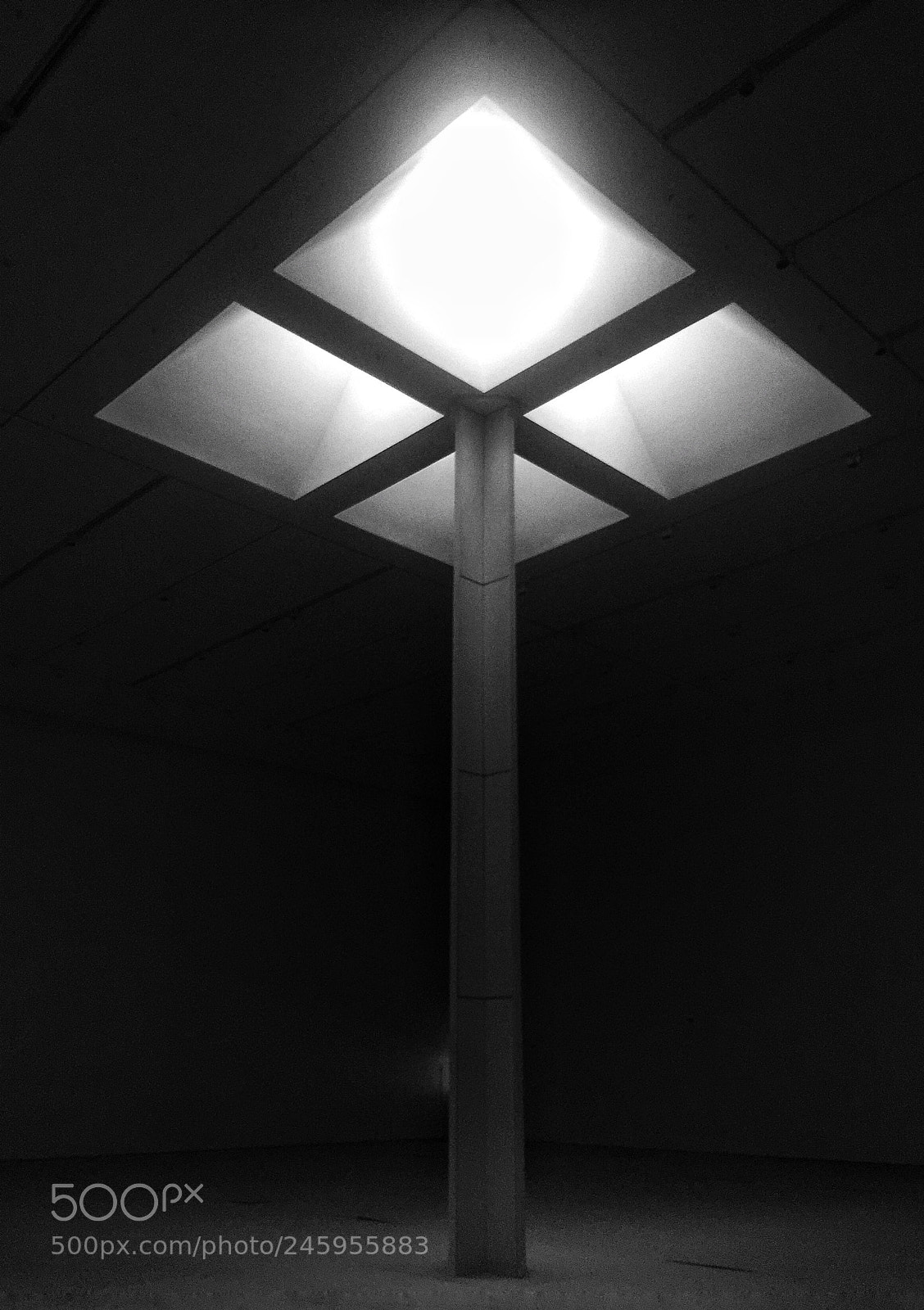 Apple iPhone 6 Plus sample photo. 孤 photography
