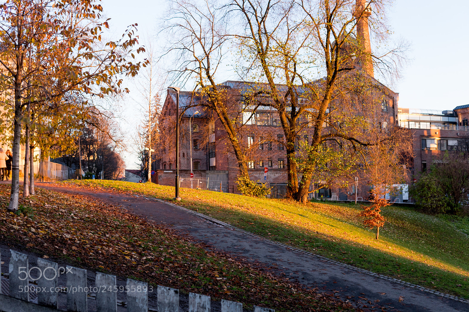 Sony a6500 sample photo. Tag sonntag () photography