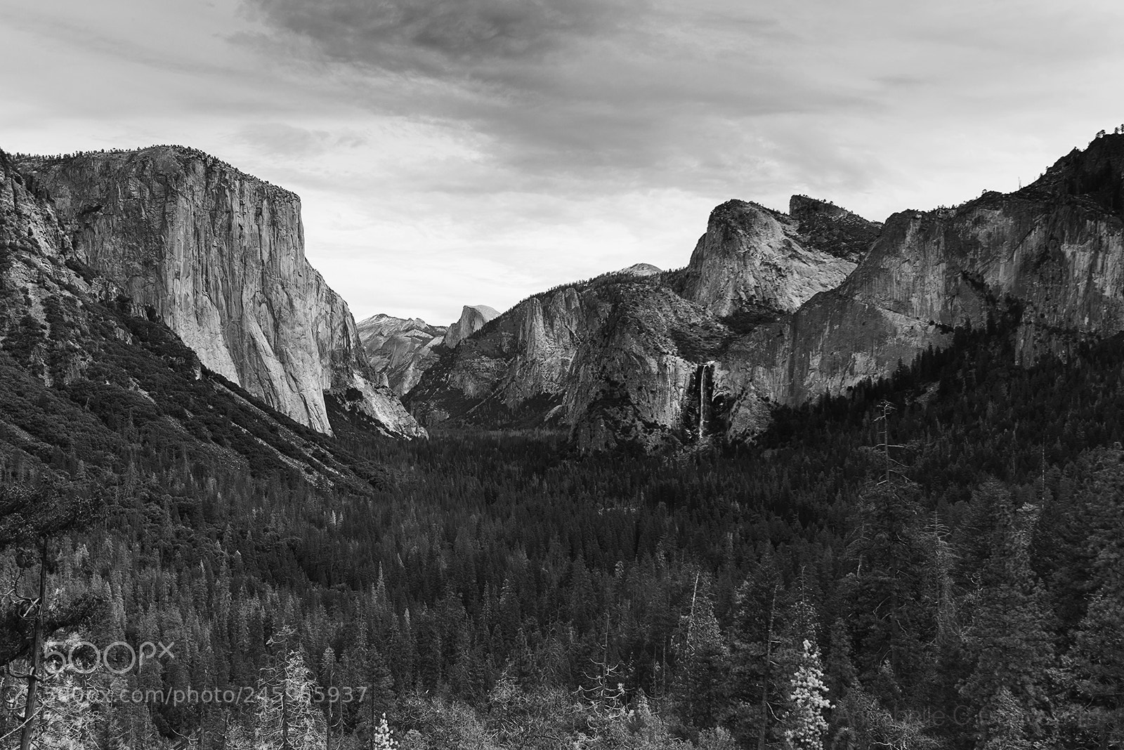 Nikon D610 sample photo. Winter in yosemite photography