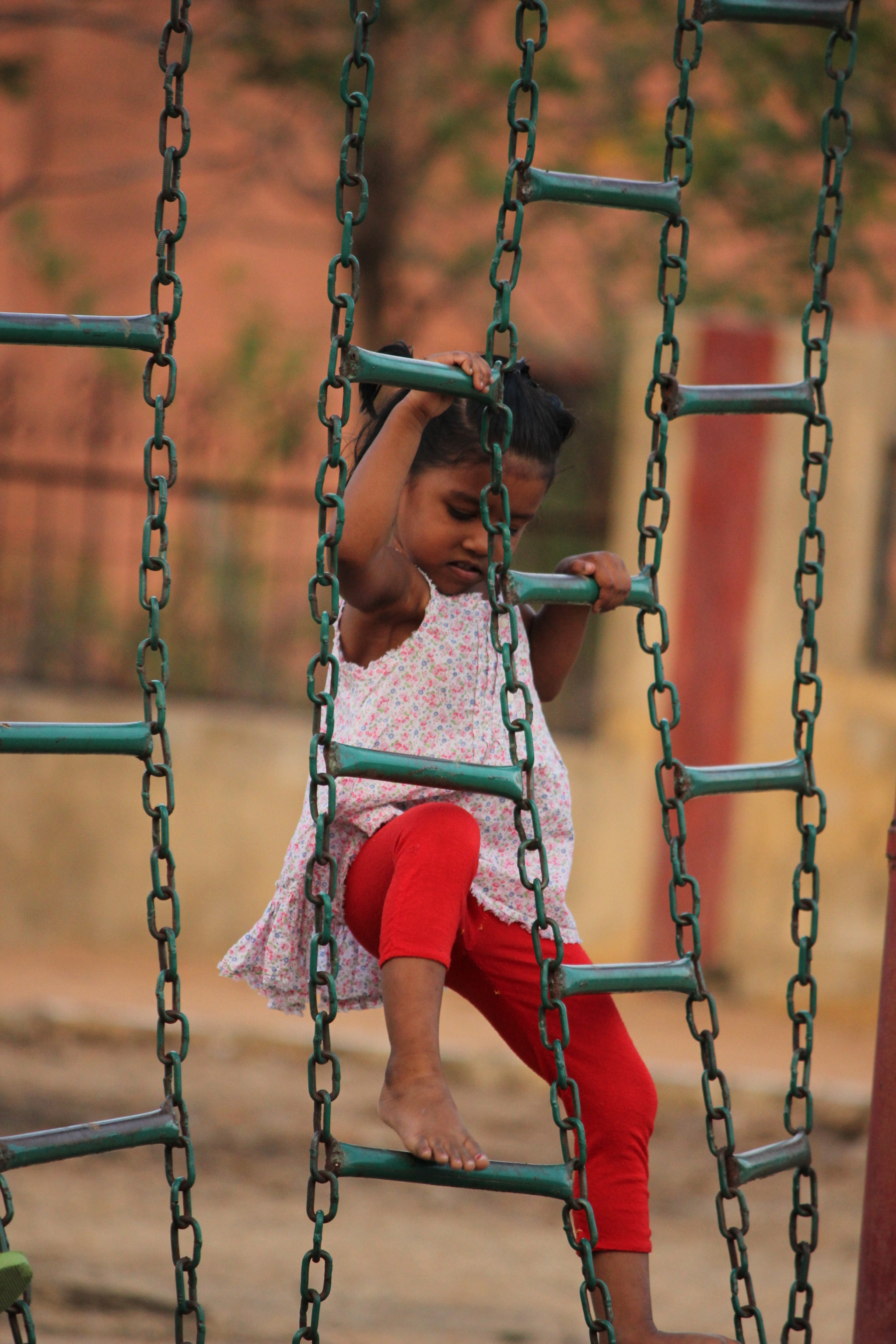 Canon EF-S 55-250mm F4-5.6 IS II sample photo. Img photography