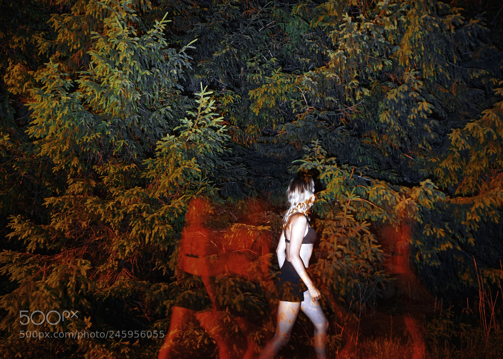 Nikon D7100 sample photo. When you see me photography