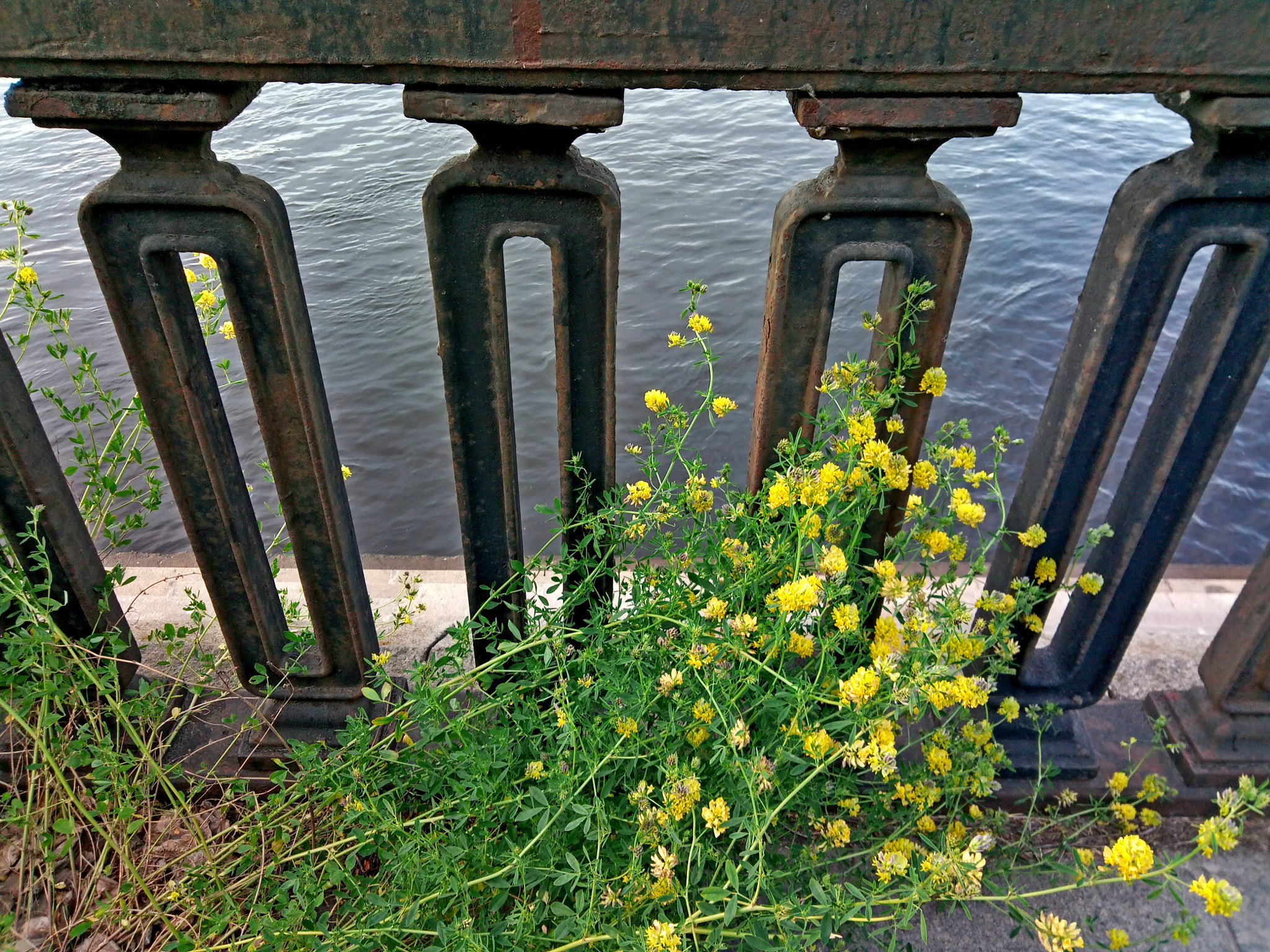 Meizu M5 sample photo. The embankment of the dnieper photography