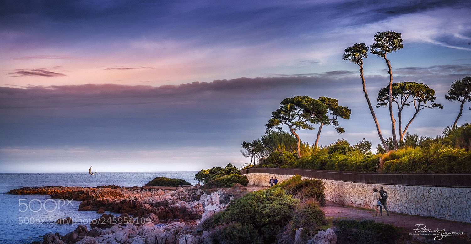 Nikon D810 sample photo. Promenade autour du cap photography