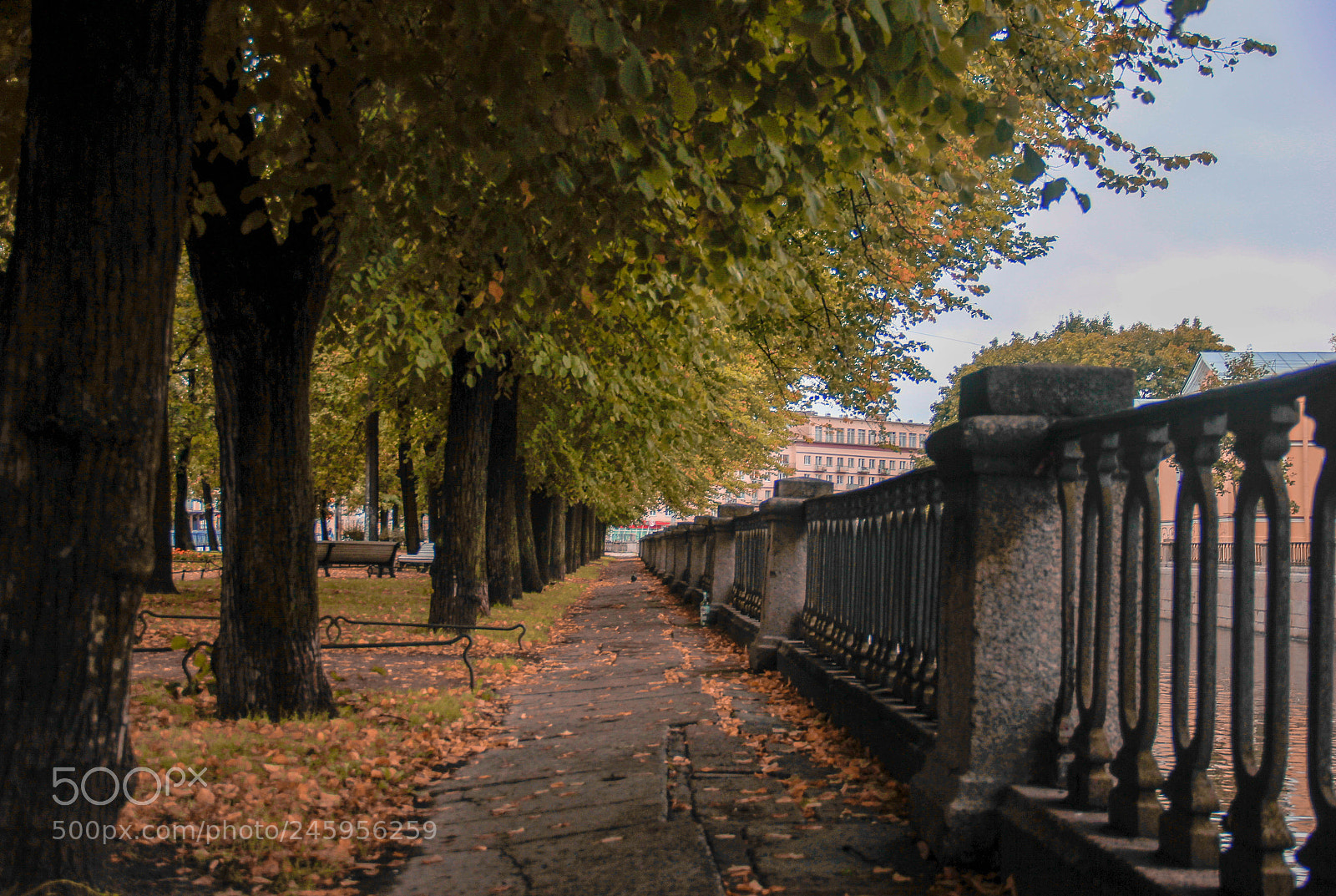Canon EOS 550D (EOS Rebel T2i / EOS Kiss X4) sample photo. Autumn photography