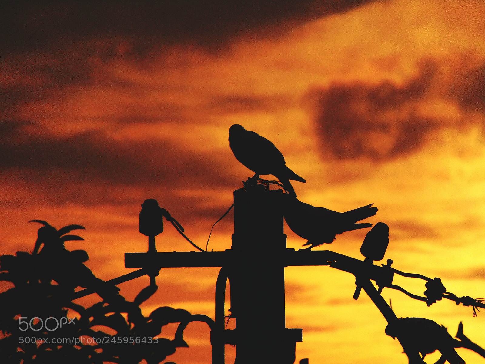 Sony Cyber-shot DSC-H300 sample photo. Sunset photography