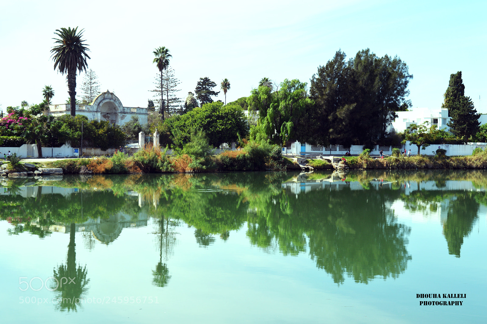 Nikon D3200 sample photo. All about reflection photography