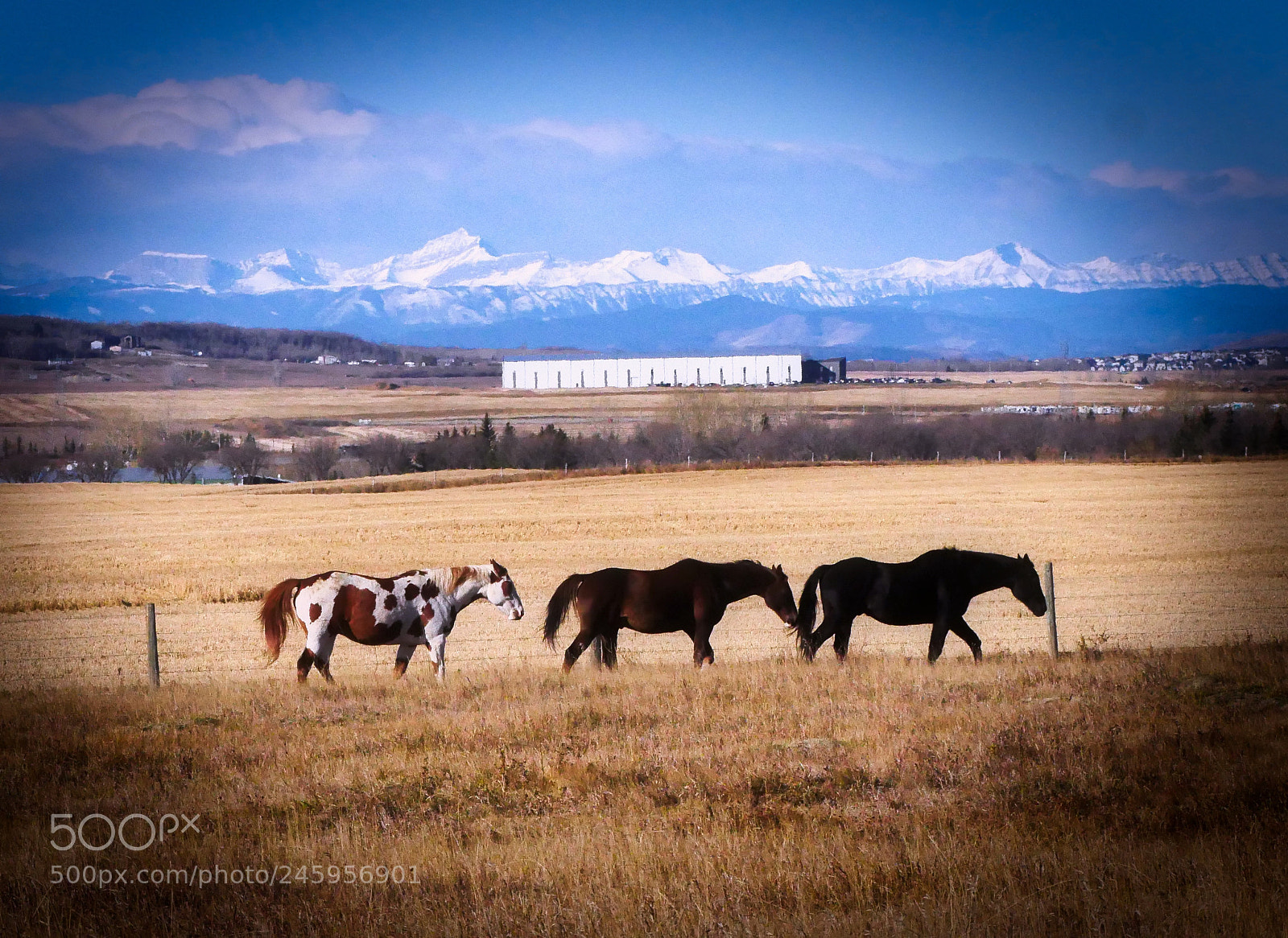 Panasonic Lumix DMC-GH4 sample photo. Western rockies photography
