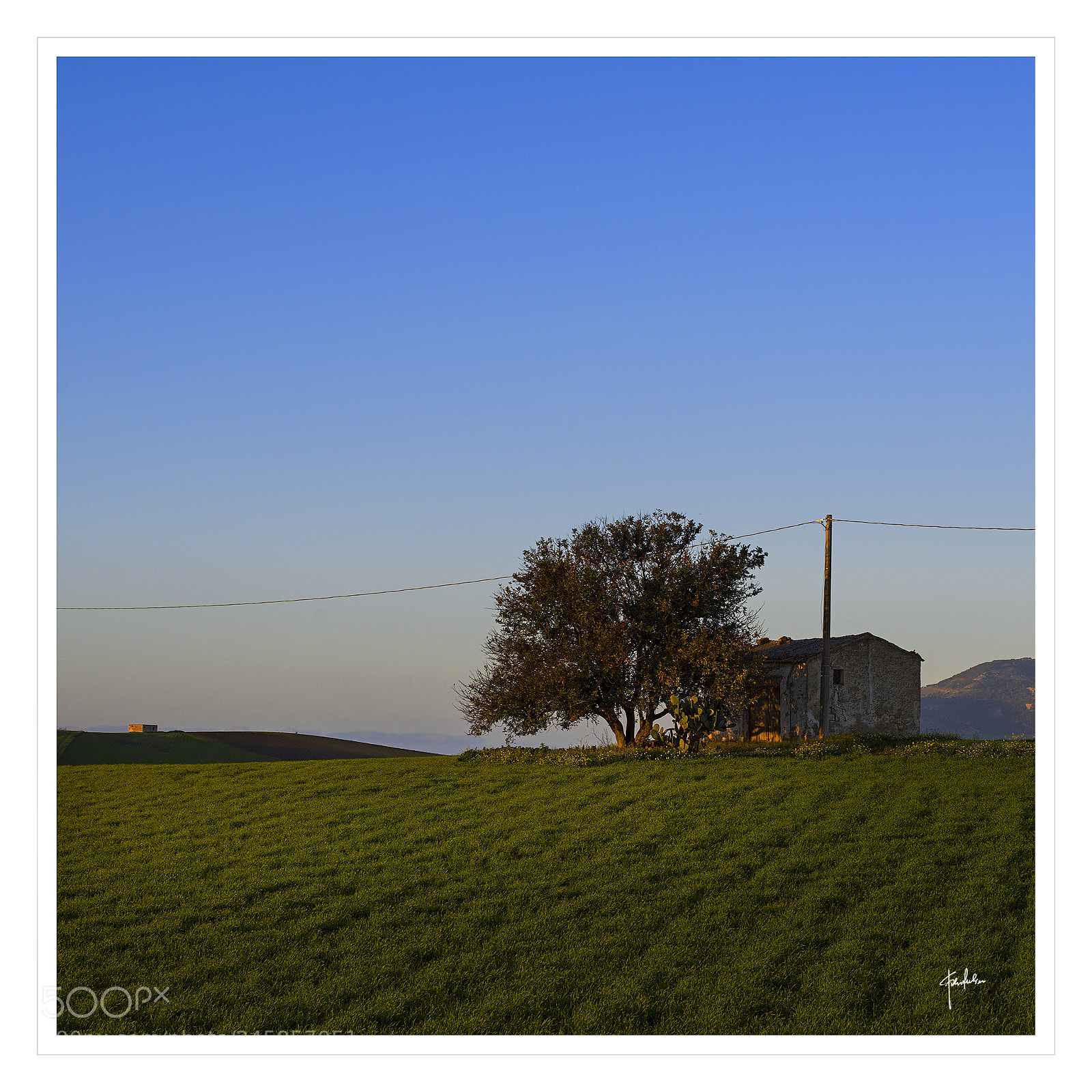 Nikon D800 sample photo. The cottage photography