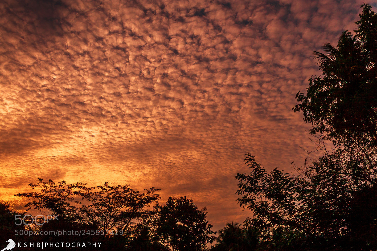 Canon EOS 400D (EOS Digital Rebel XTi / EOS Kiss Digital X) sample photo. Evening clouds photography