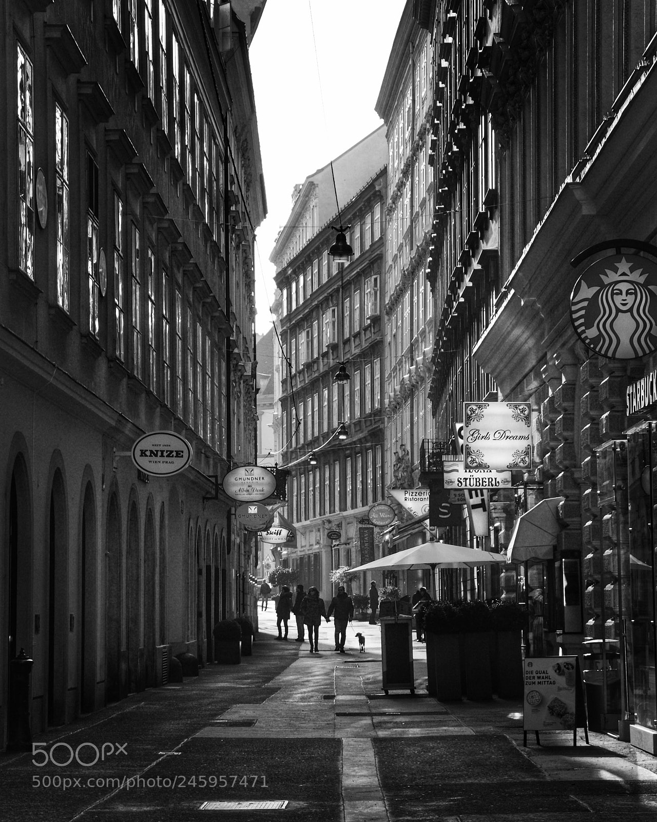 Sony Alpha DSLR-A290 sample photo. Alleyway in vienna, austria  photography