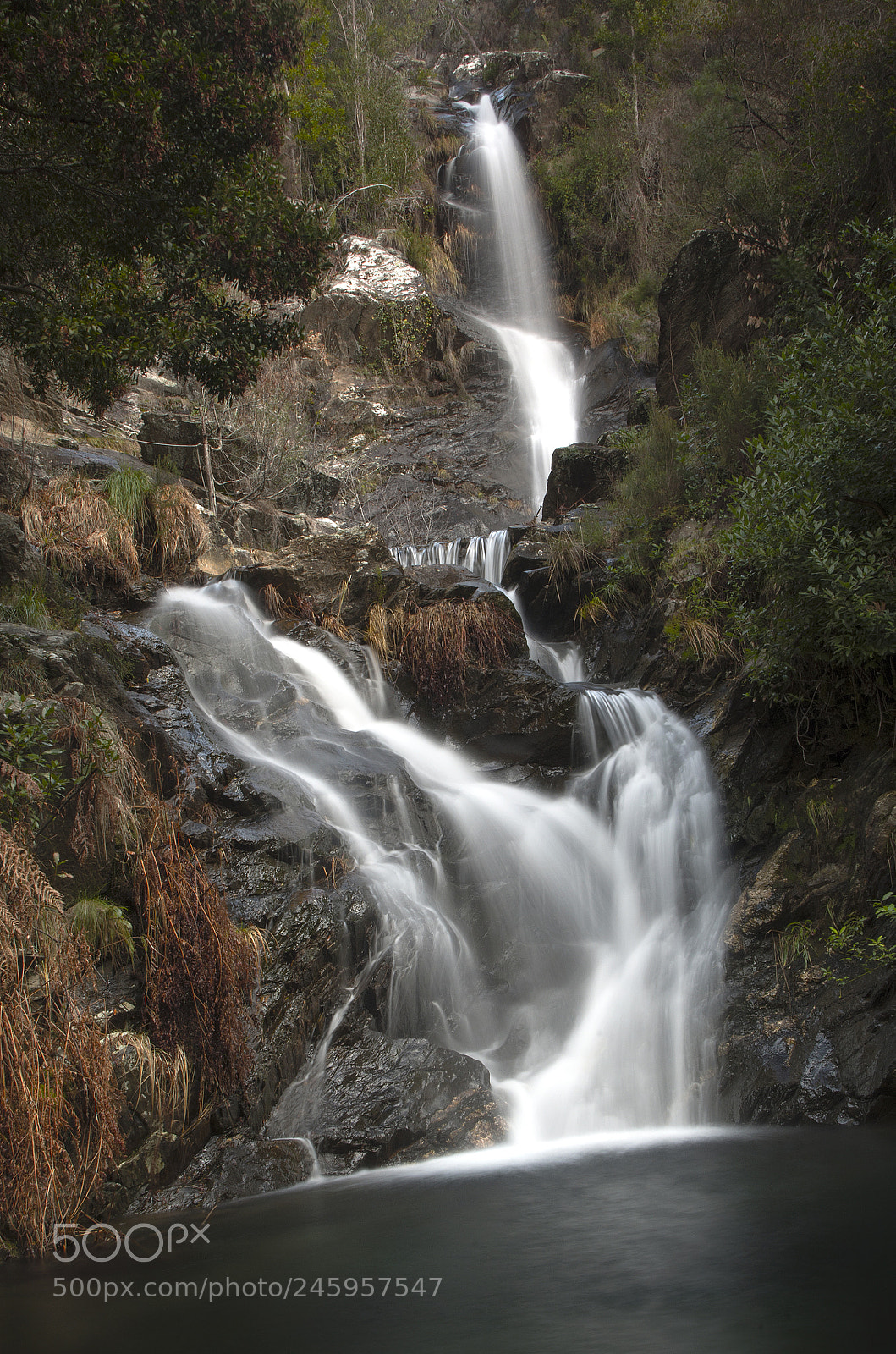 Pentax K-50 sample photo. Winter cascade photography
