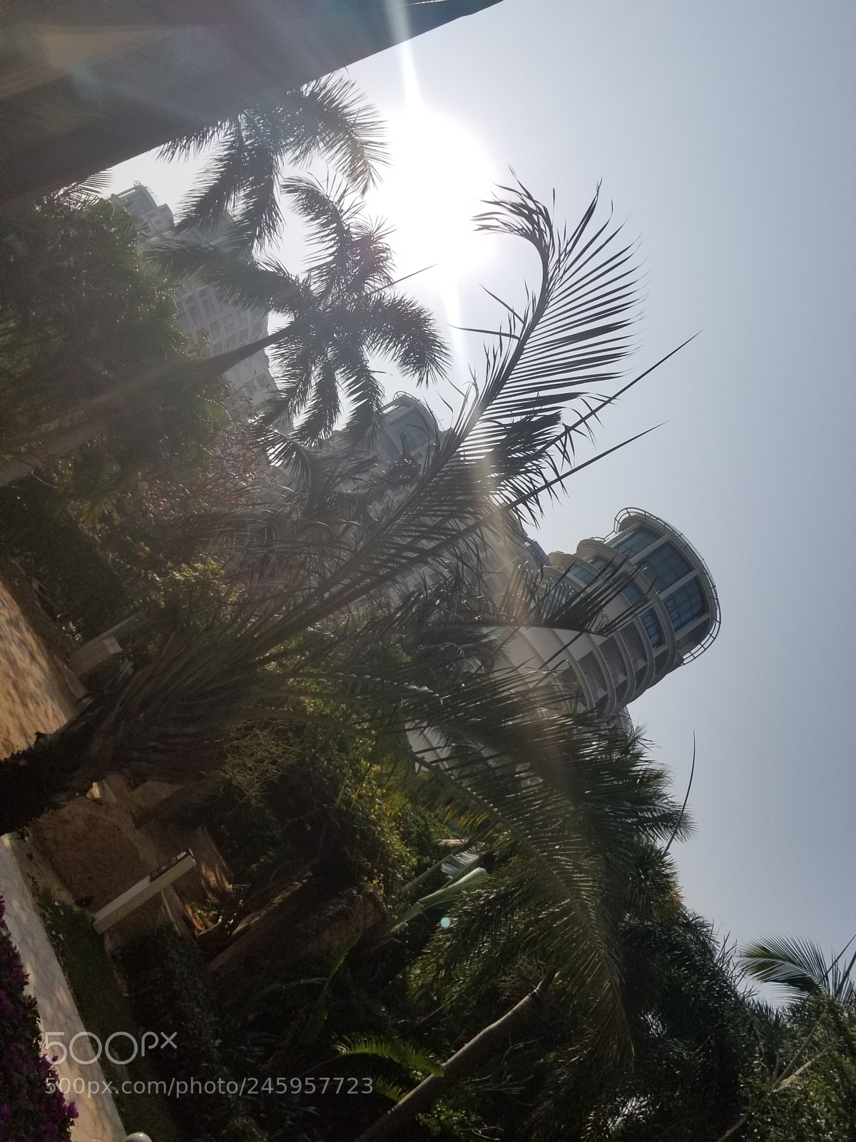Samsung Galaxy S8 sample photo. Untitled photography