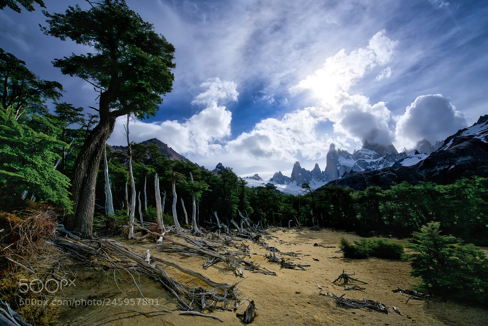 Sony a7R II sample photo. Mount fitz-magic photography