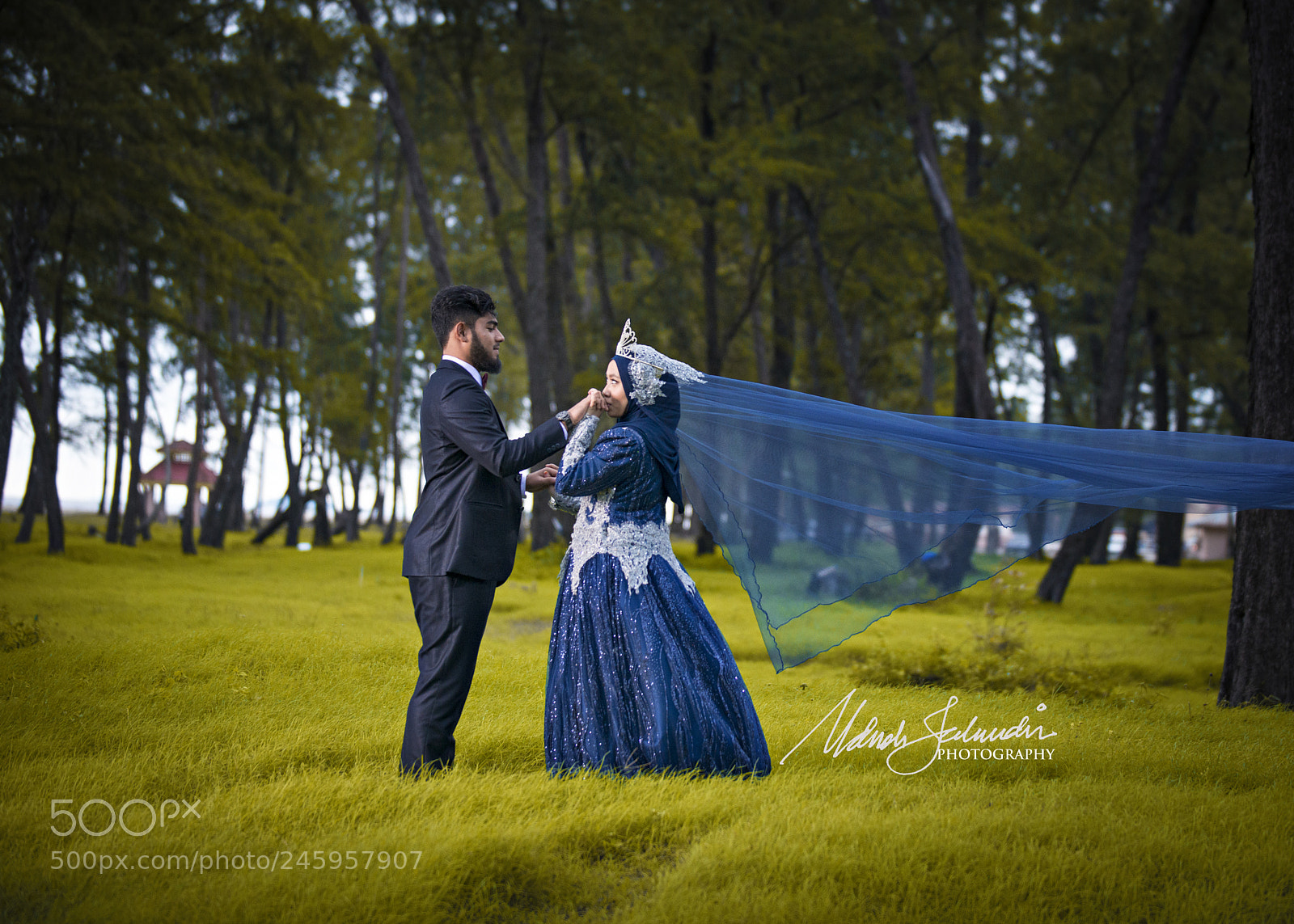 Nikon D800E sample photo. Arif & annis photography