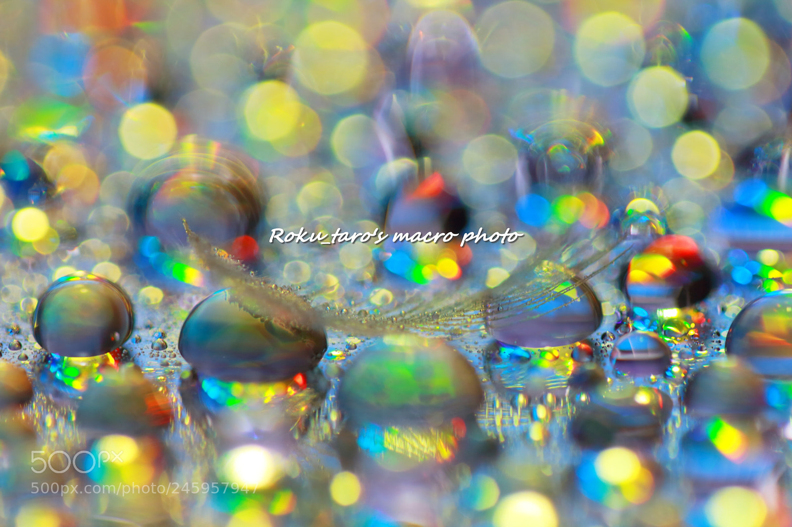 Canon EOS 700D (EOS Rebel T5i / EOS Kiss X7i) sample photo. Like a kaleidoscope photography