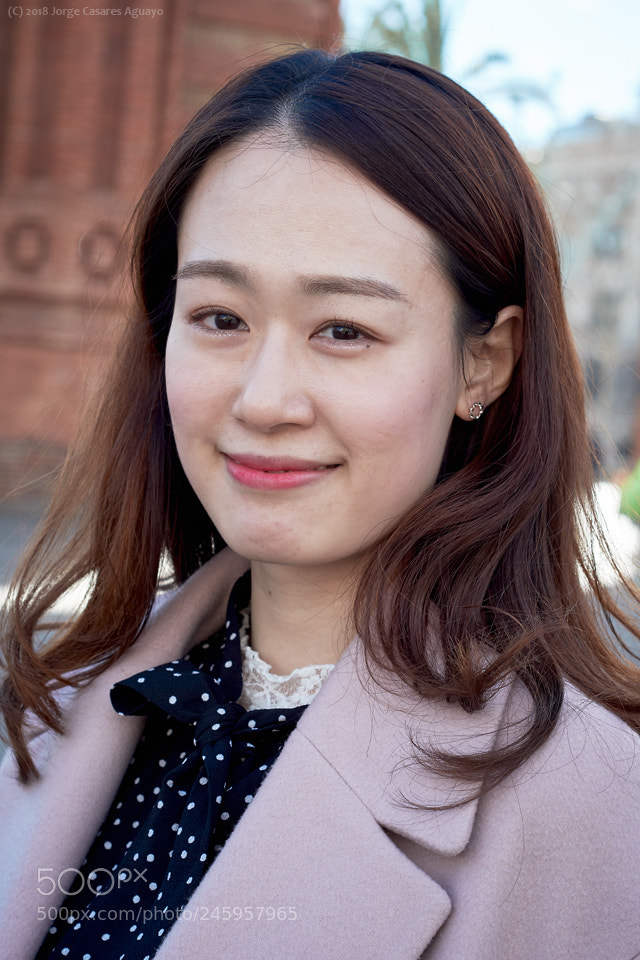 Nikon D7500 sample photo. Oriental series photography