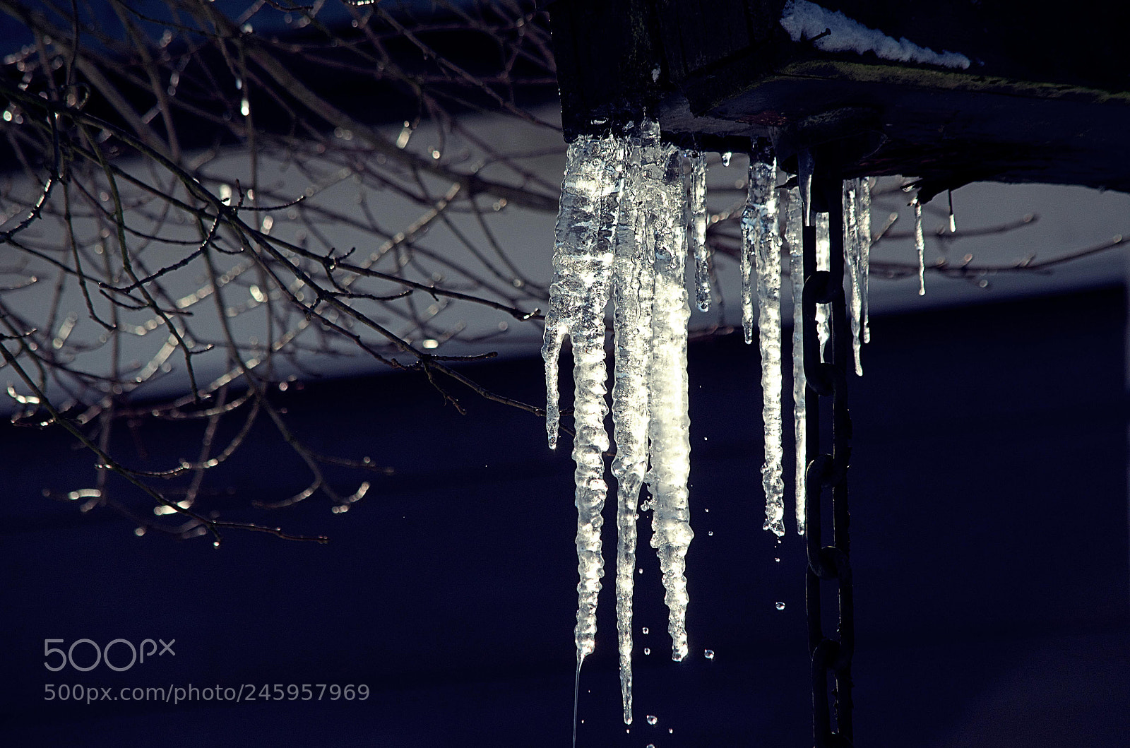 Nikon D5100 sample photo. Icicles photography