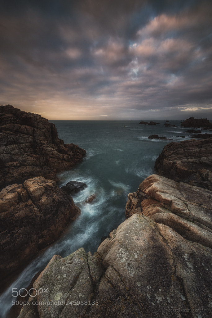 Nikon D800 sample photo. Plougrescant, brittany photography