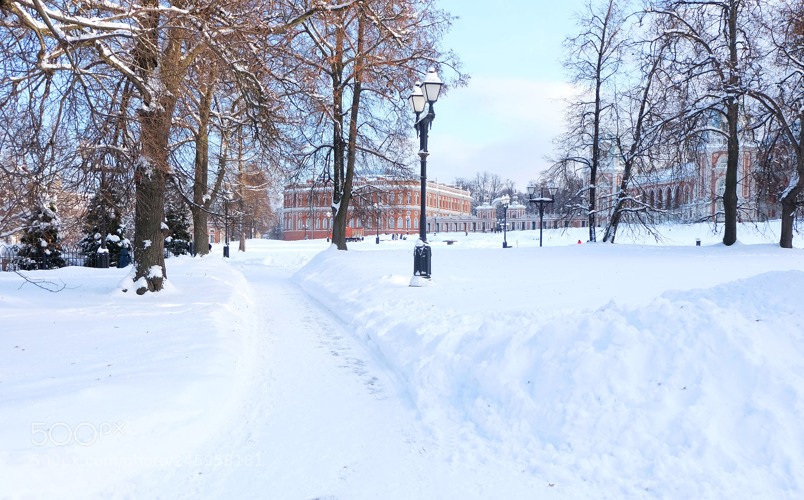 Fujifilm X-M1 sample photo. Winter photography