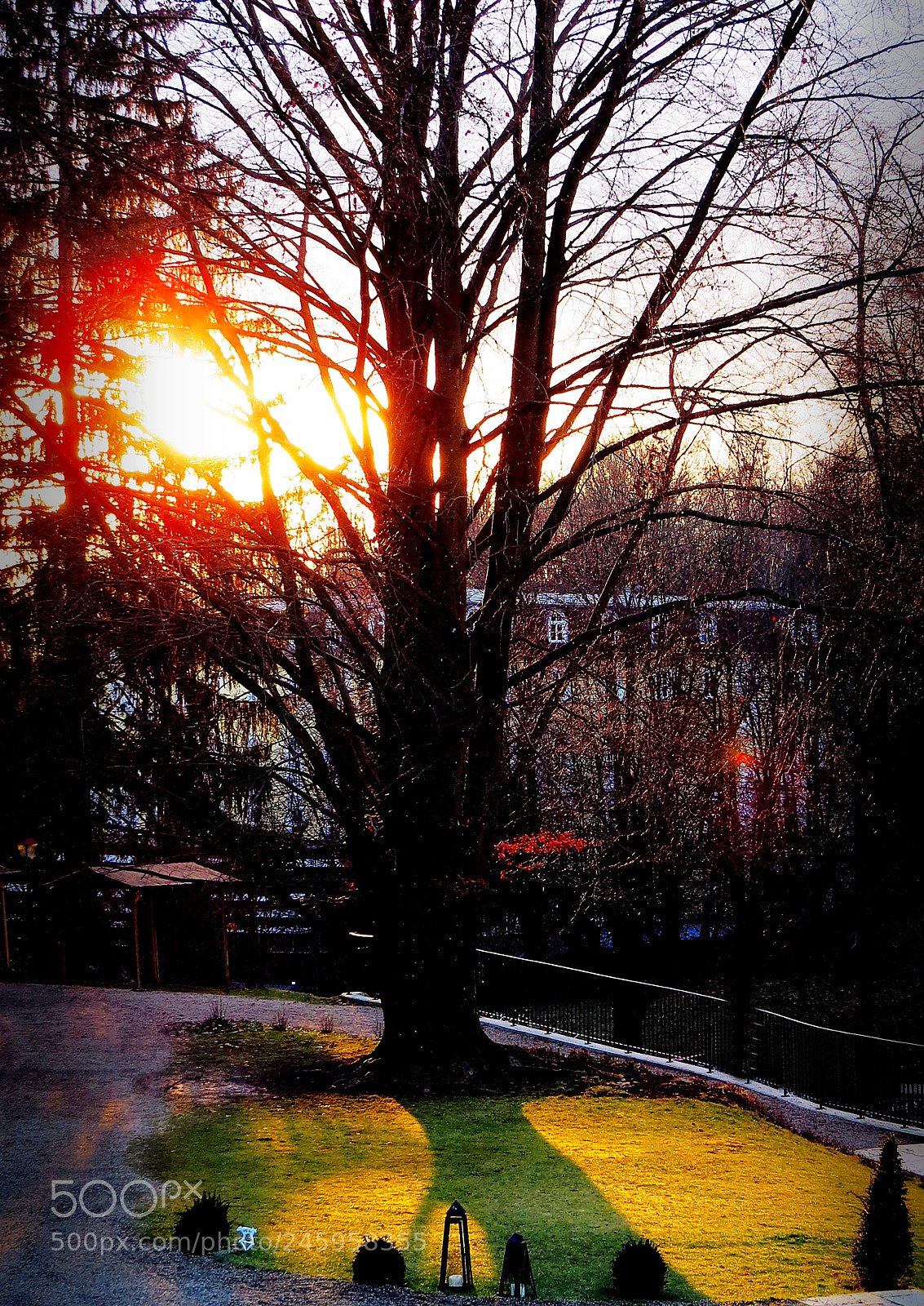 Canon PowerShot SX50 HS sample photo. Winter sunset photography