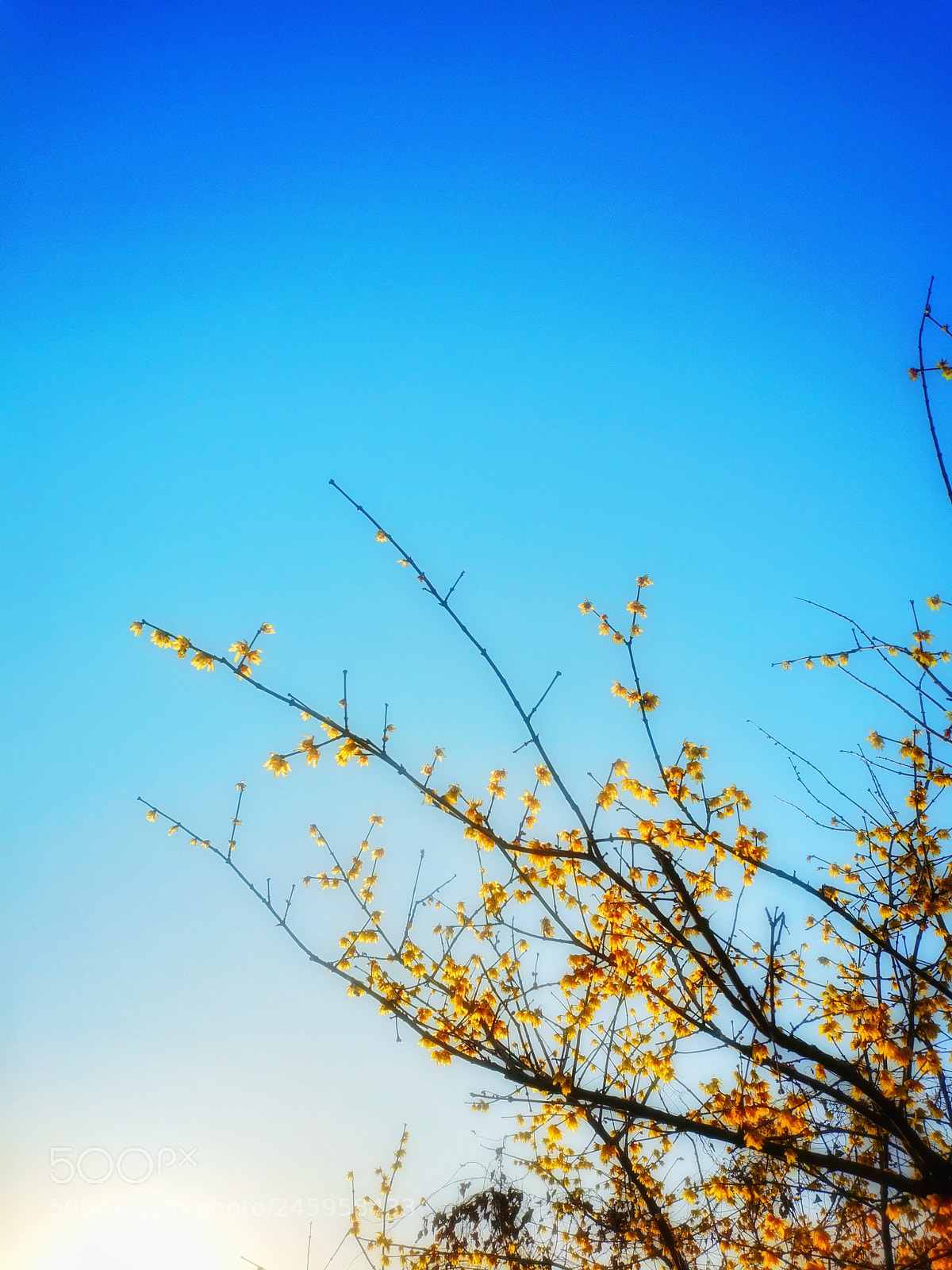 Xiaomi MIX 2 sample photo. Untitled photography