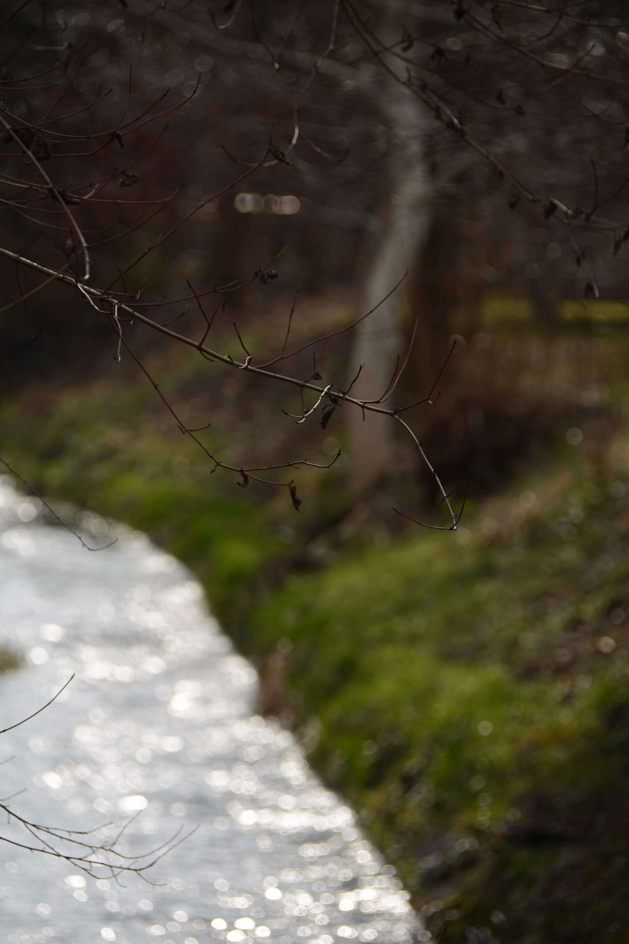 Nikon D7100 sample photo. Details photography