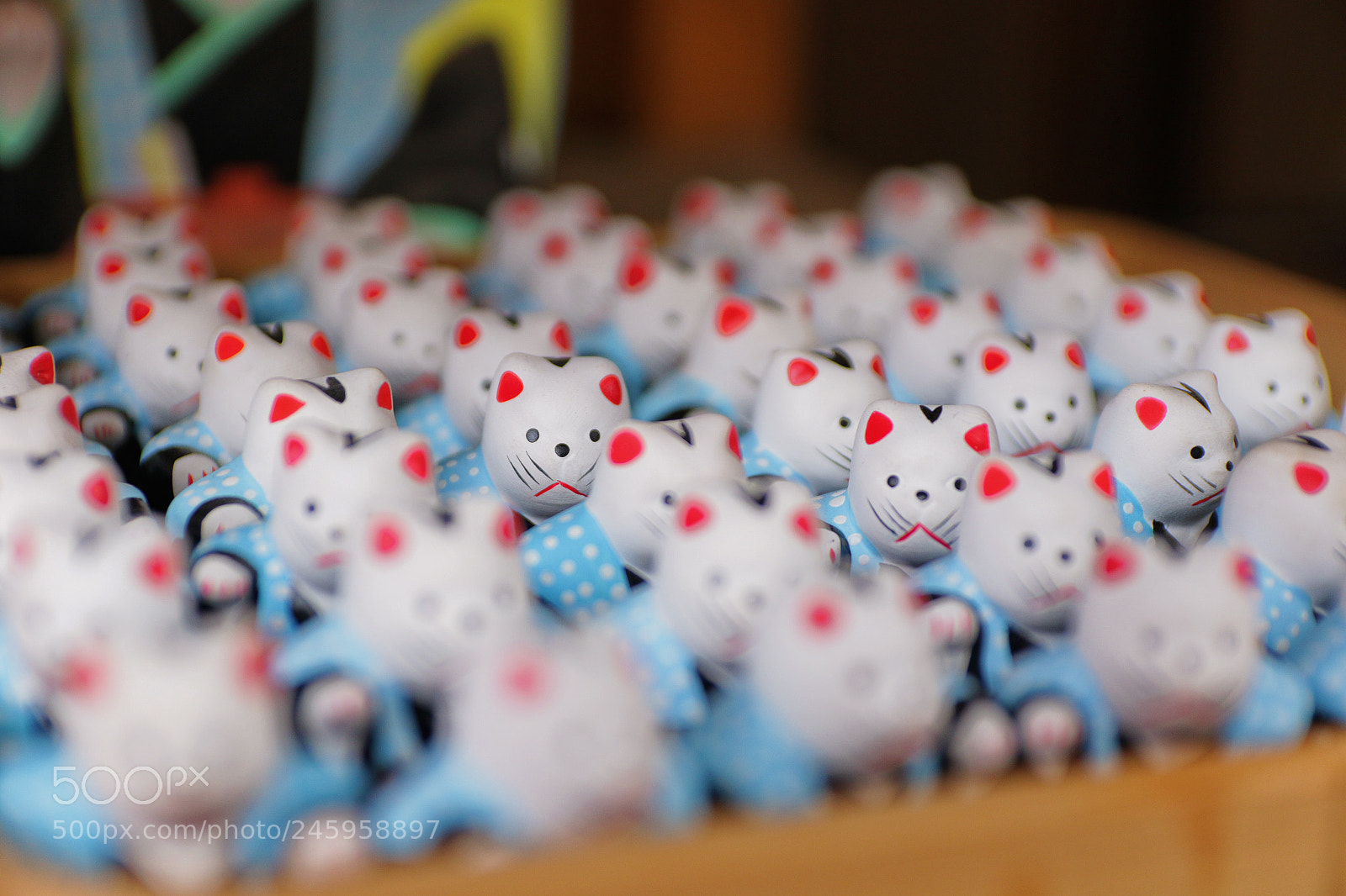 Canon EOS 7D Mark II sample photo. Untitled photography