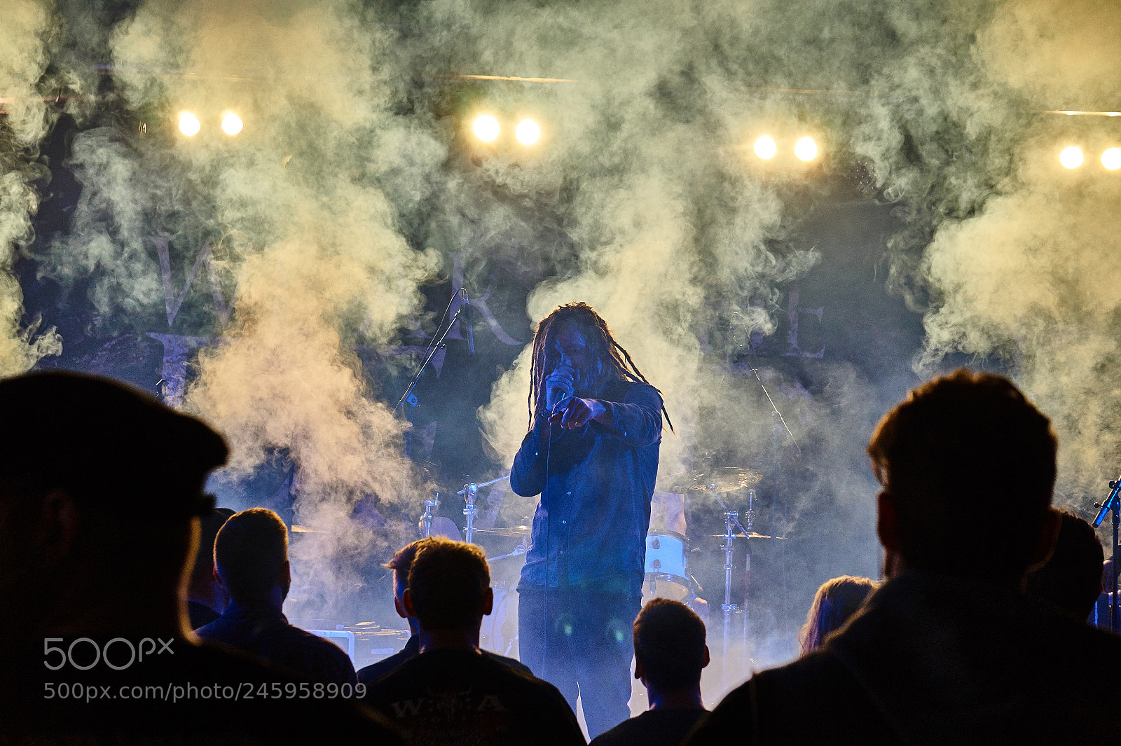 Sony Alpha a3000 sample photo. Singer photography