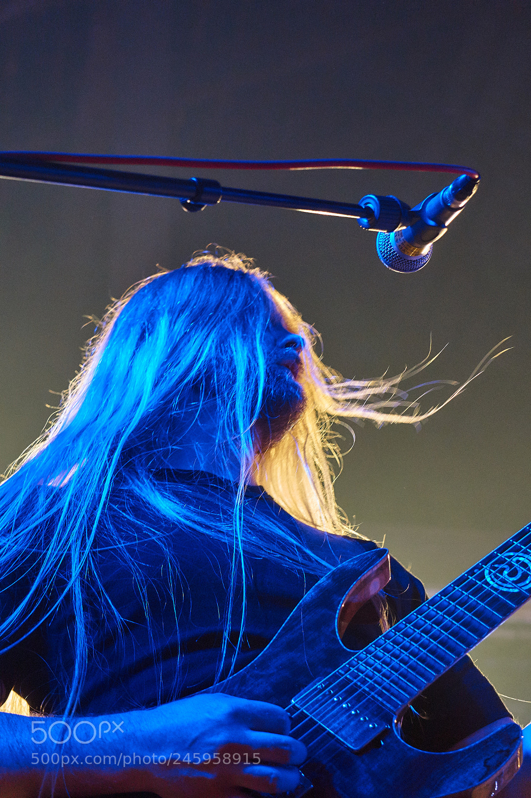Sony Alpha a3000 sample photo. Guitar photography