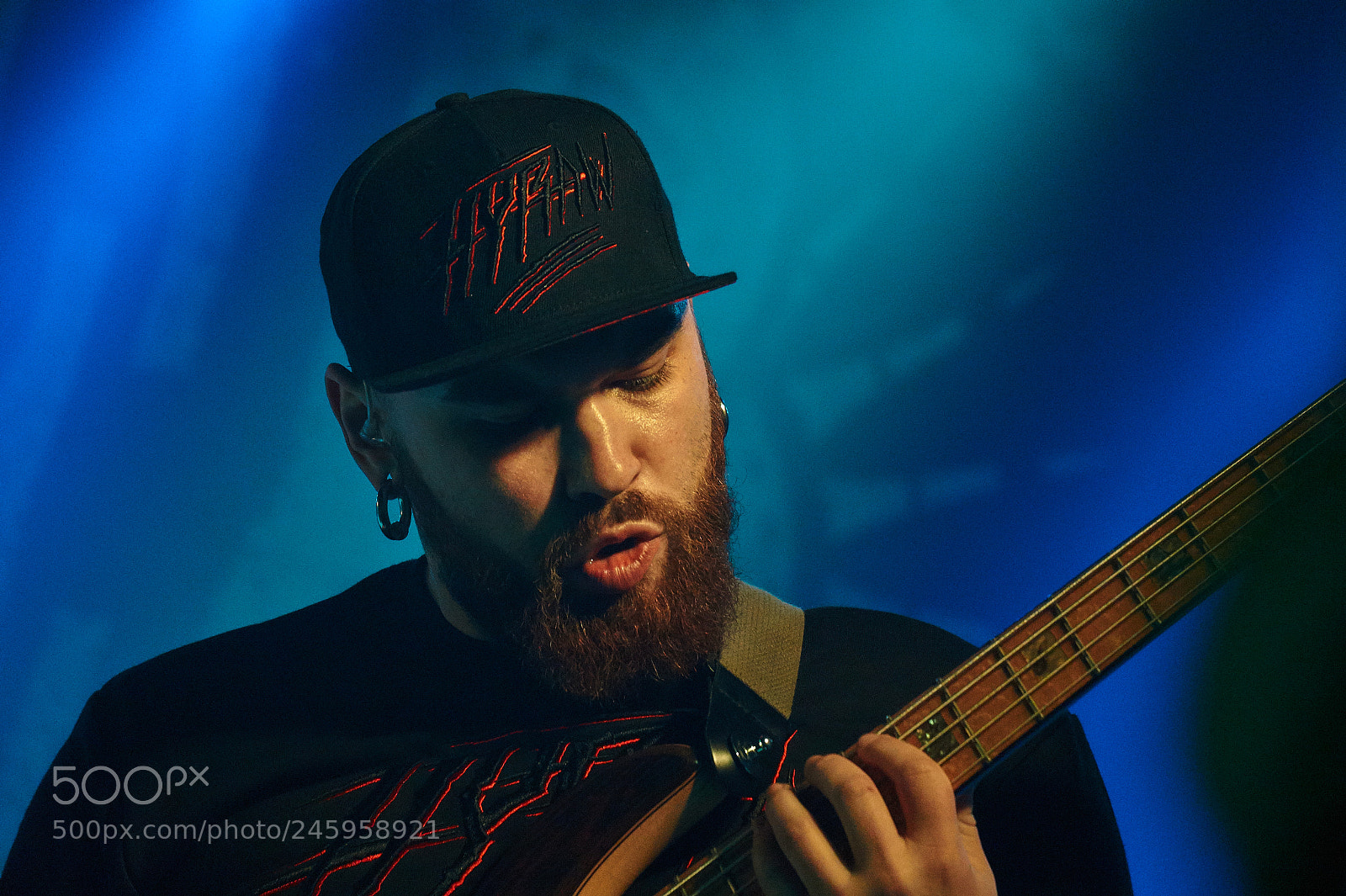 Sony Alpha a3000 sample photo. Bass photography