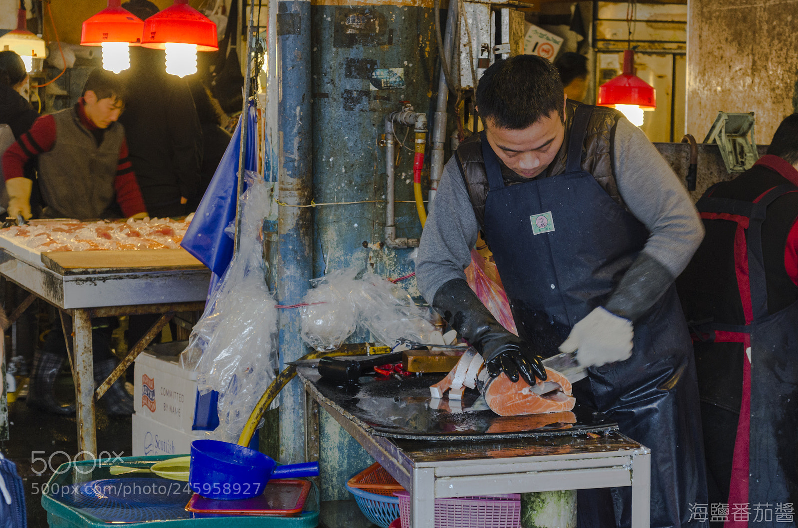 Nikon D5100 sample photo. Fish market photography