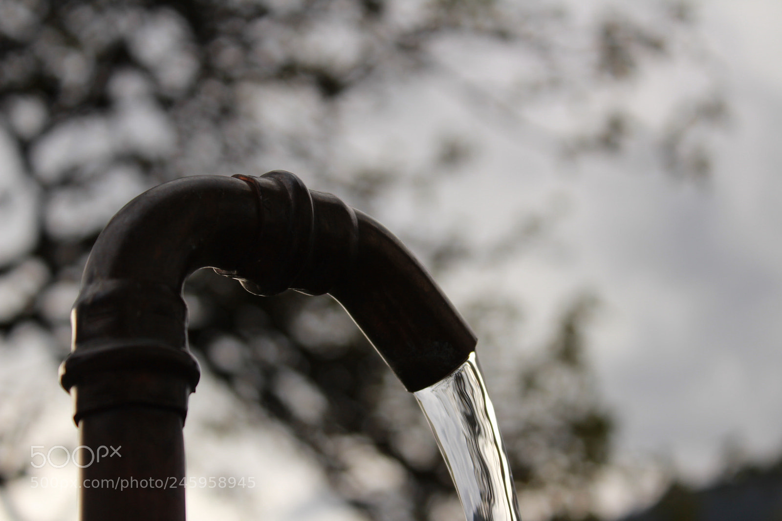 Canon EOS 1300D (EOS Rebel T6 / EOS Kiss X80) sample photo. “water” photography