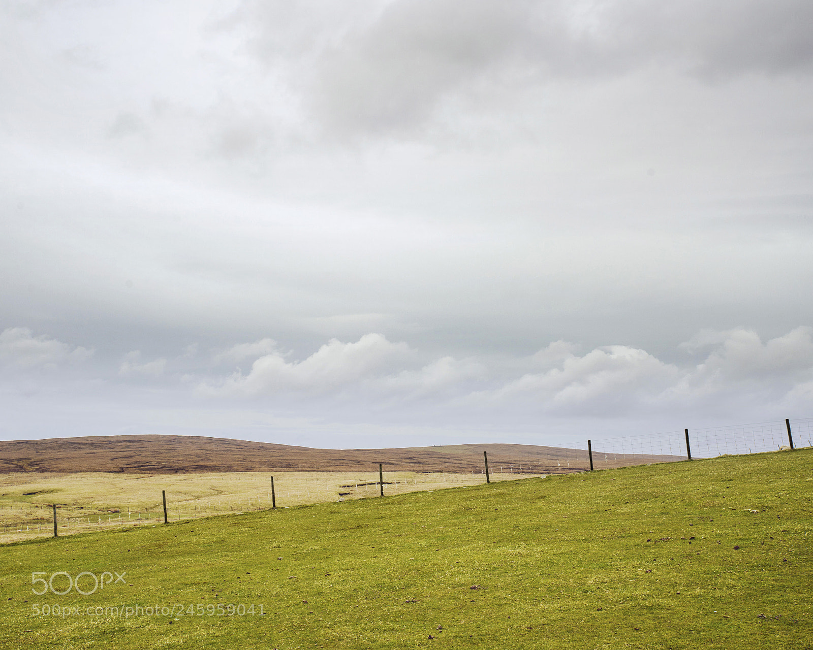 Nikon Df sample photo. 3 colors photography
