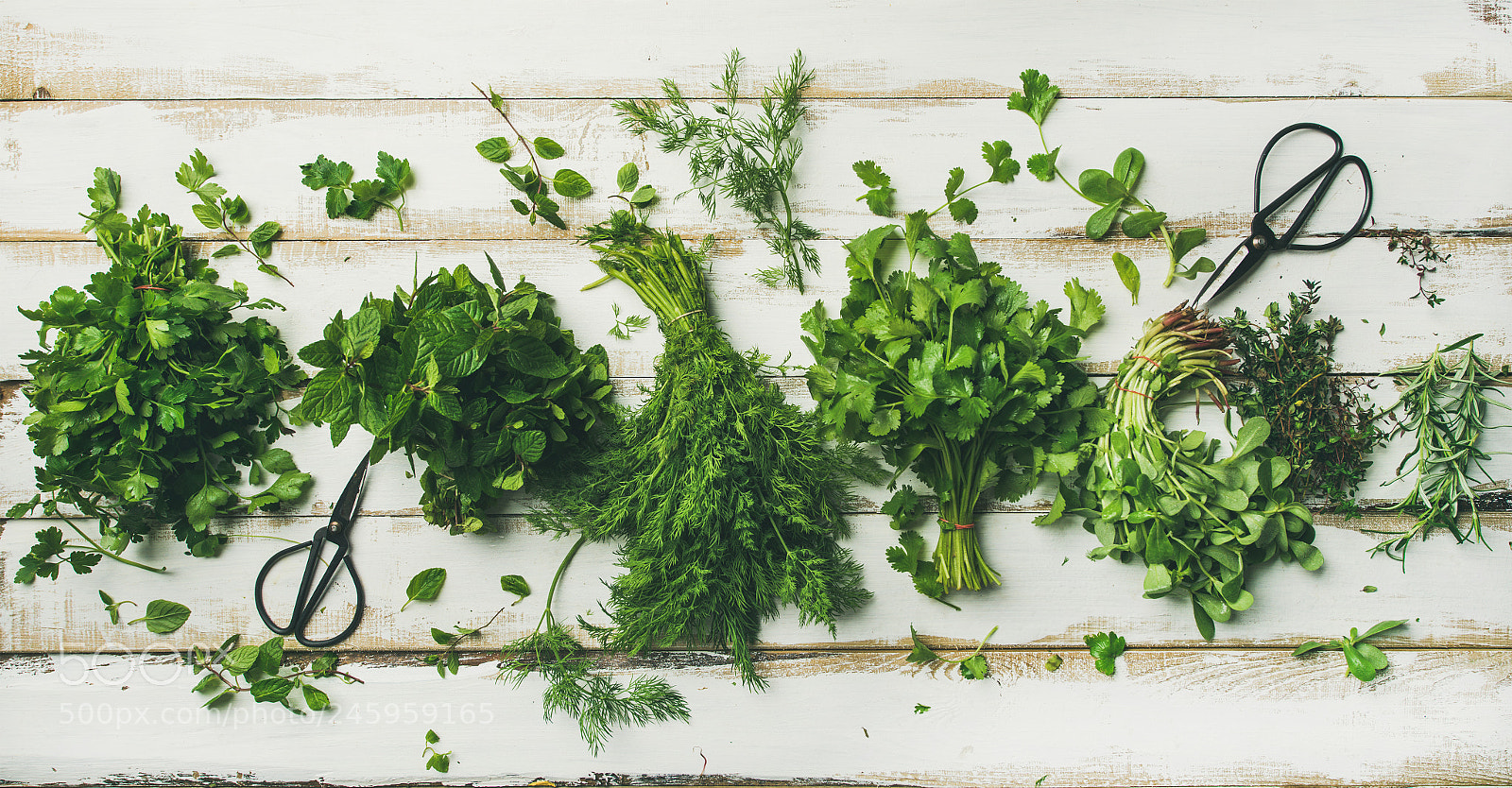 Nikon D610 sample photo. Various fresh green kitchen photography