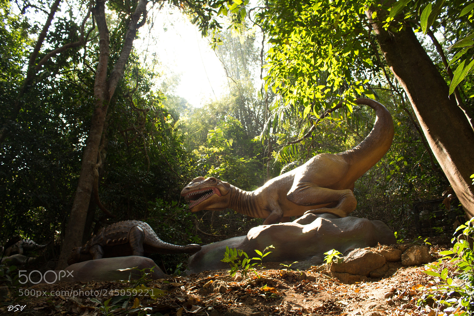 Canon EOS 700D (EOS Rebel T5i / EOS Kiss X7i) sample photo. Predator and prey photography