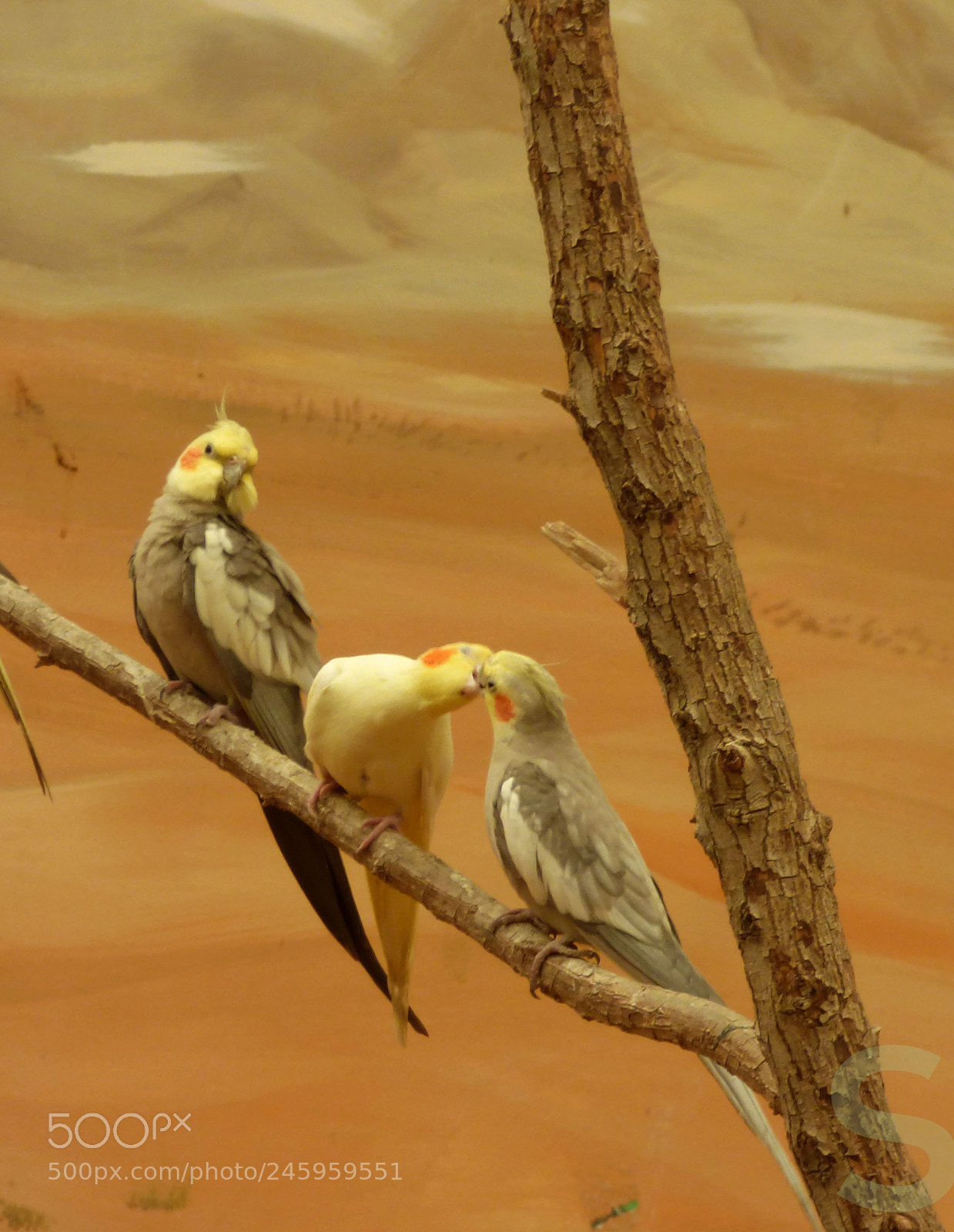Panasonic Lumix DMC-FZ70 sample photo. Lovely moment photography