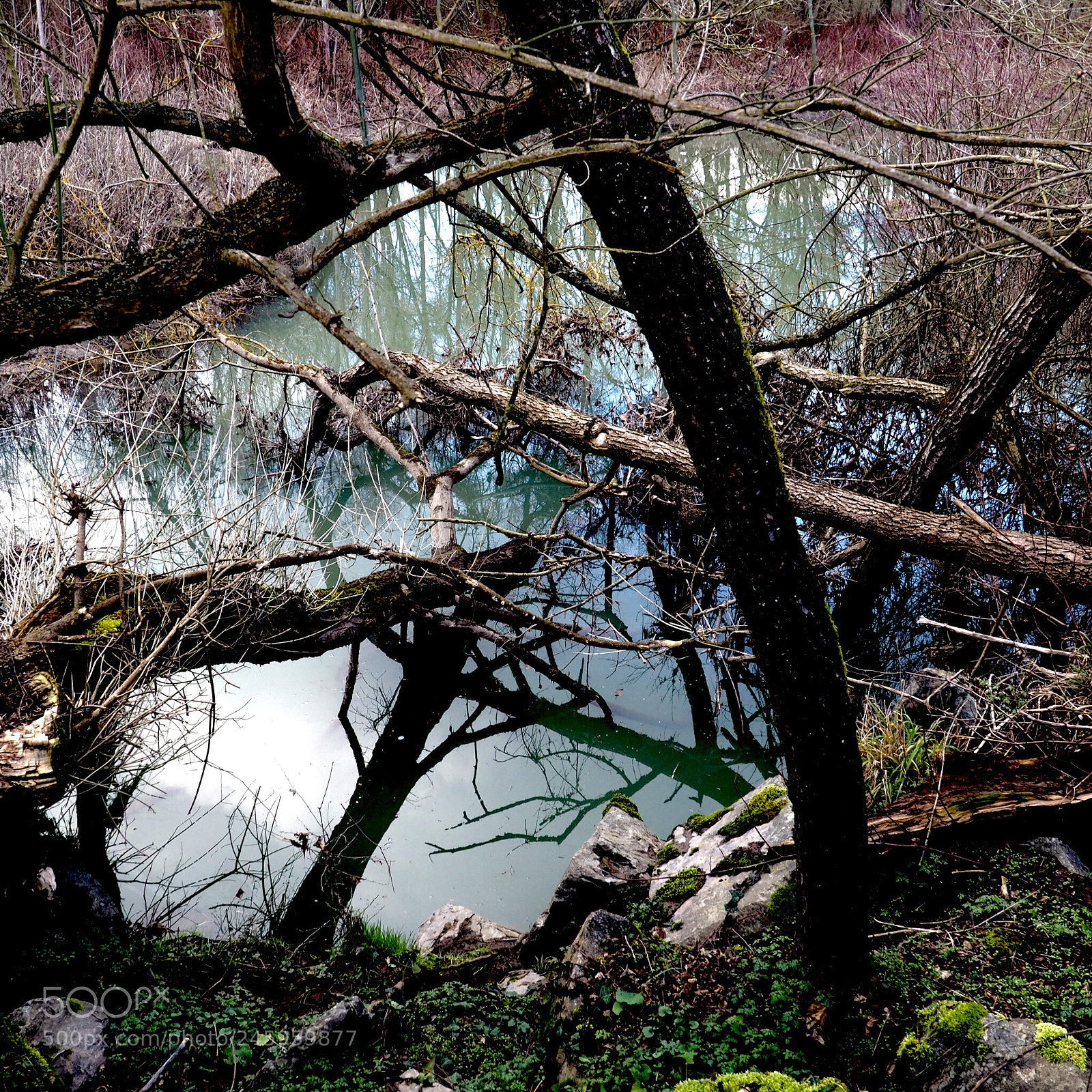 Olympus OM-D E-M10 sample photo. Echoed triangles photography
