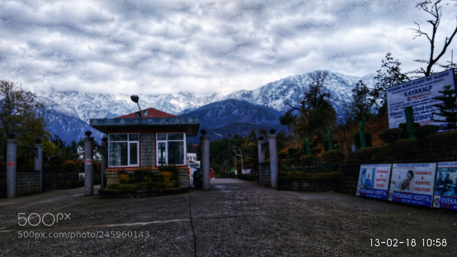 Xiaomi Redmi 4A sample photo. Untitled photography