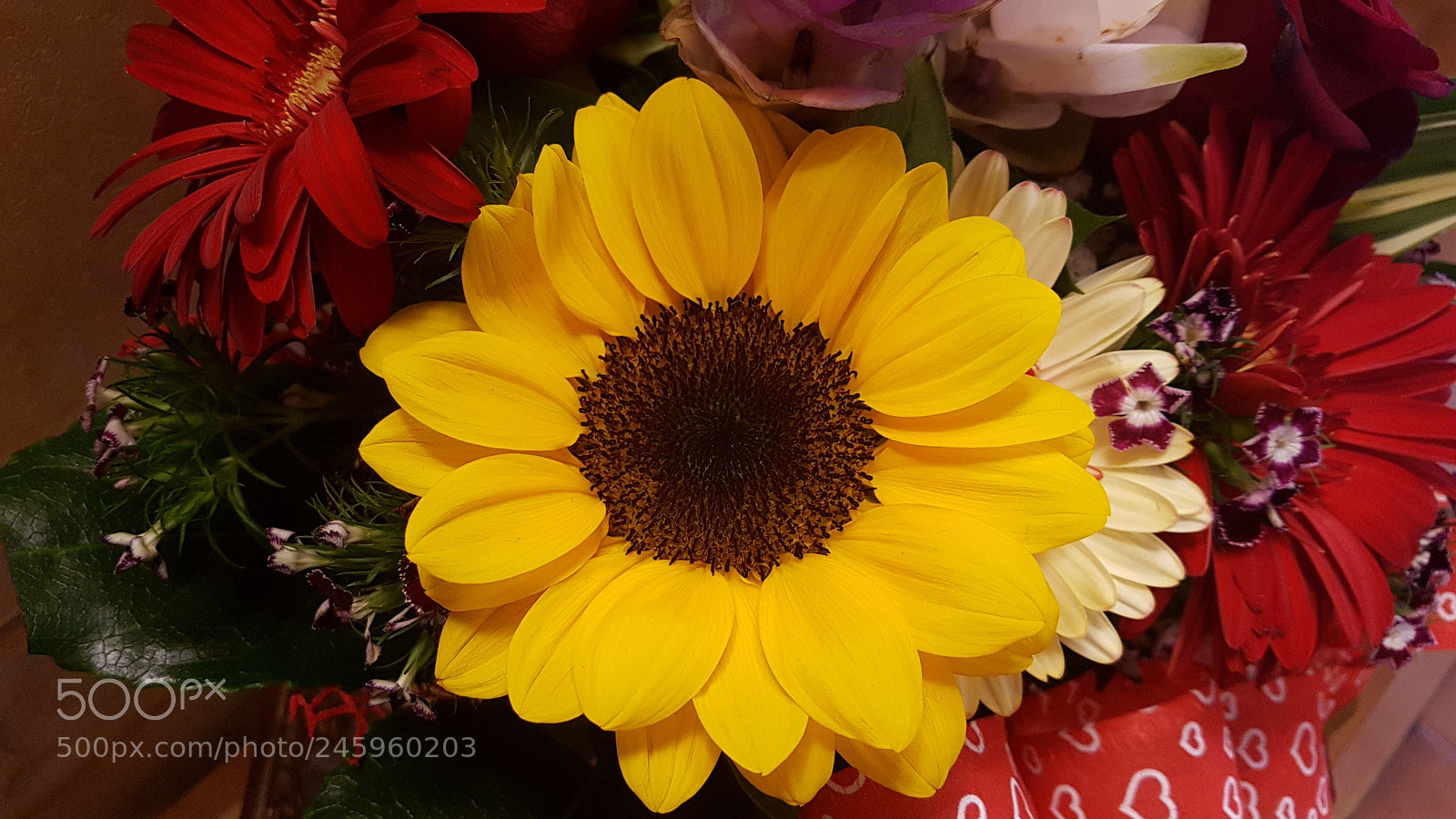 Samsung Galaxy S7 Edge sample photo. Untitled photography