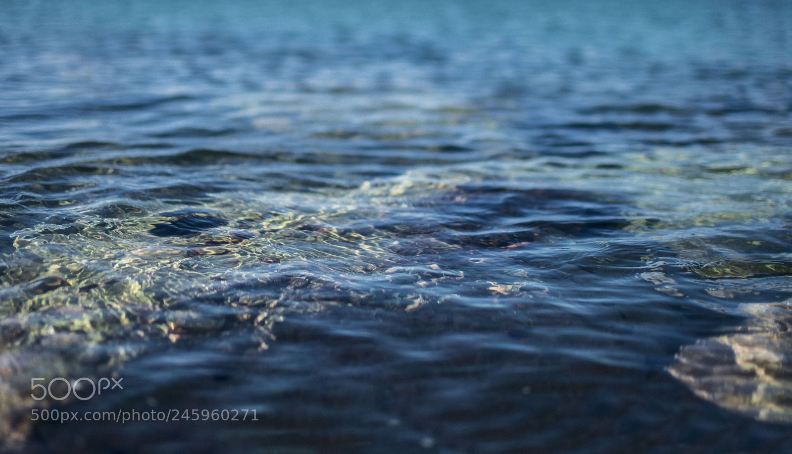 Nikon D3400 sample photo. Acqua marina photography