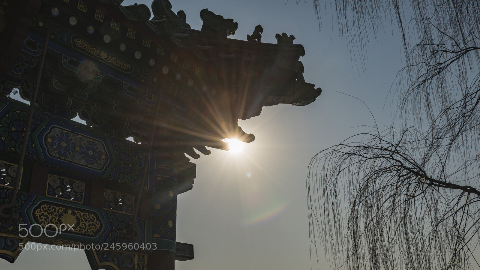 Nikon D800 sample photo. Untitled photography