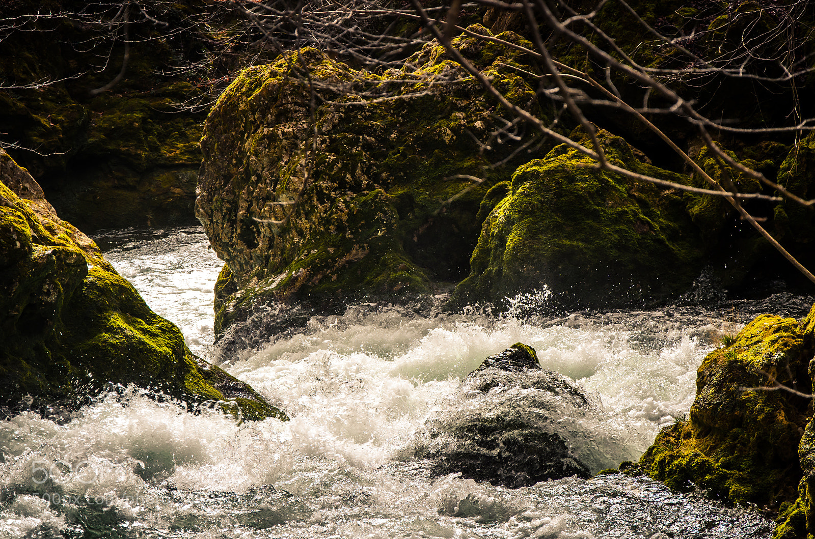 Nikon D5100 sample photo. Nacimiento de urederra photography
